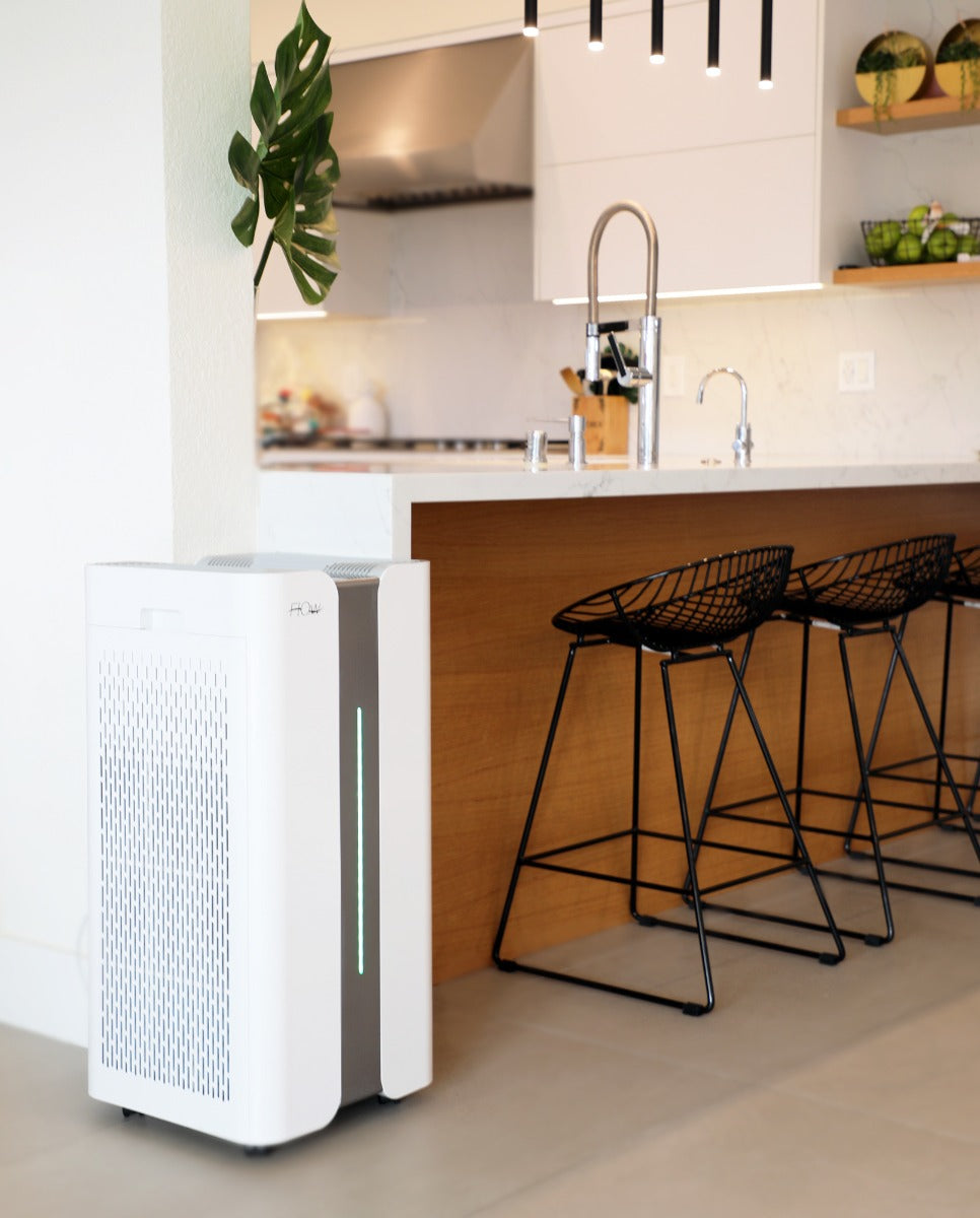 O2 FLOW Commercial size Air Purifier with Hepa and carbon filter