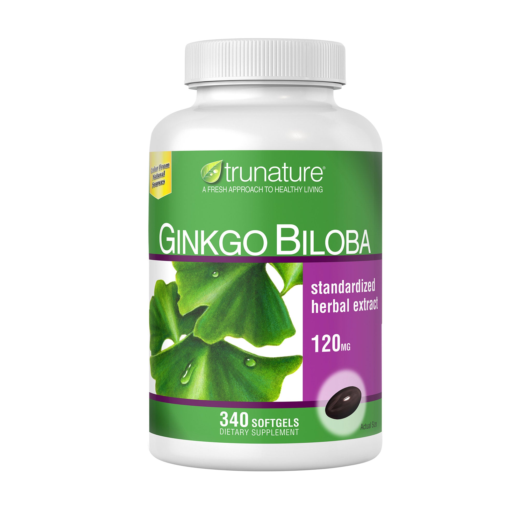 Ginkgo Biloba, 340 Softgels